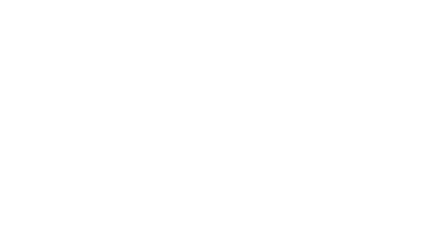 DMC Telecom